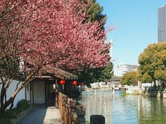 -衣裳街历史文化街区