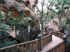 -天门沟九州驿站树上汤泉