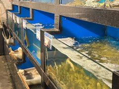 -华盛丰温州大排档(东三环南路店)