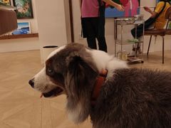 -漫慢里艺术体验馆·绘画调香手工DIY
