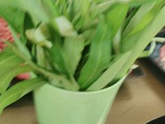 -手选潮汕鲜活牛肉火锅(二七广场店)