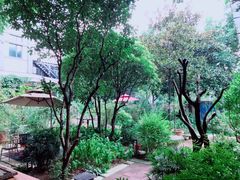 -谷咖啡·鲜花绿植花园餐厅