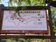 -大围山国家森林公园