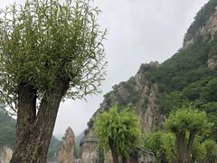 -大连冰峪旅游度假区
