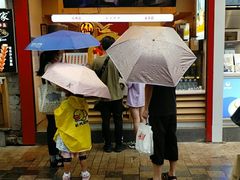 -仙境豆夫(步行街旗舰店)