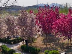 -永定河休闲森林公园