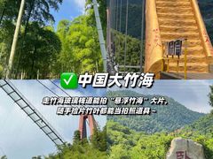 -阿露佳·舌尖上的安吉菜