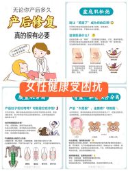 -安院长·产后恢复·徒手骨盆(先天下店)