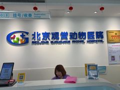 -北京观赏动物医院·24小时大型综合·猫专科·异宠专科