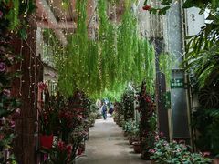 -正佳雨林生态植物园
