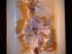 -东山羊庄(八卦岭店)