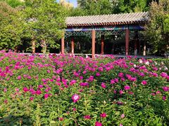 -丰台花园