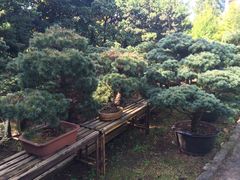 -上海鲁迅故居