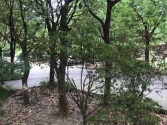 -安飞驰驾校·学车连锁(金高店)