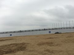 -碧海金沙