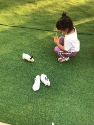 -萌宠亲子动物乐园(槐房万达店)