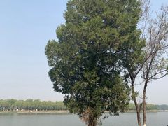 -素心小筑(后沙裕镇店)