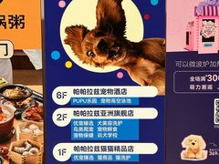 -帕帕拉兹宠物(亚洲旗舰店)