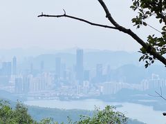 -梧桐山风景名胜区