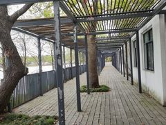 -昆山城市生态森林公园