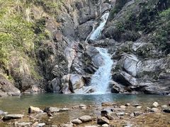 -九龙江国家森林公园