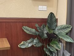 -曼谷食堂·泰国家庭料理