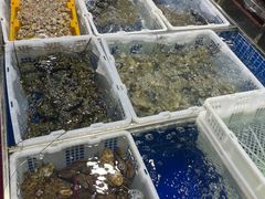 -先锋海鲜市场