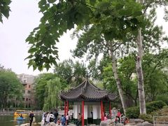 -莲湖公园