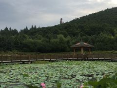 -六鼎山文化旅游区