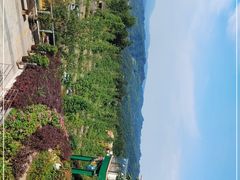 -碧峰峡风景区