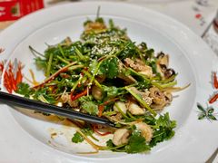 拌章鱼-富黎华海鲜大酒楼(正大广场店)