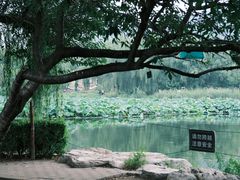 -国家植物园南园