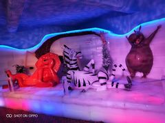 -芜湖新华联大白鲸海洋公园