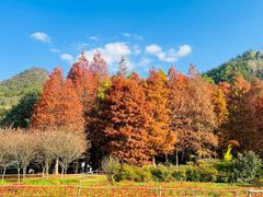 -贵阳市花溪国家城市湿地公园