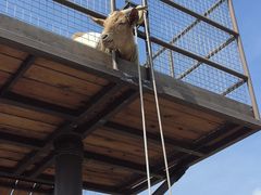 -珠海海泉湾神秘岛亲子乐园