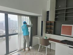 -Liteclear日本进口强效除甲醛检测治理(旗舰店)