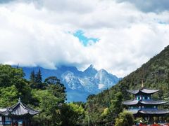 -中国科学院西双版纳热带植物园