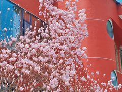 -崂山九水游览区