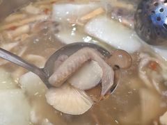 -鸽鸟轩(石岐店)