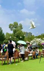 -琥珀婚礼策划AMBER WEDDING