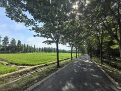 -广富林郊野公园