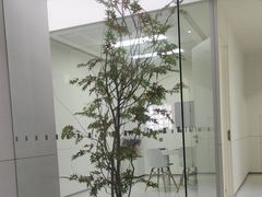 -极简口腔(总院)