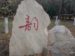 -大港湿地公园