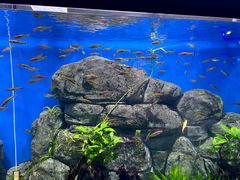 -石家庄市动物园