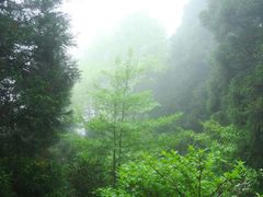 -南岳衡山风景名胜区