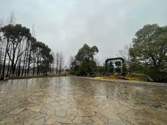 -苏州太湖国家湿地公园