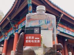 -丰都鬼城名山景区