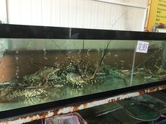 -QQ海鲜餐厅