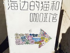 -海边的猫和咖啡馆
