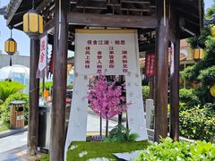 -侠舍·江湖烤全羊·大排档(沌口总店)
